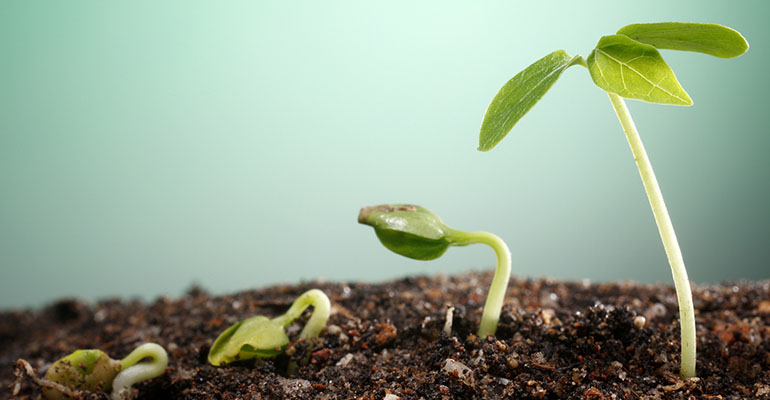 Creating a healthy, clean and prosperous NZ boosted by BioTech